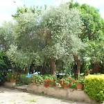 La Convenienza Cascina (Pisa)